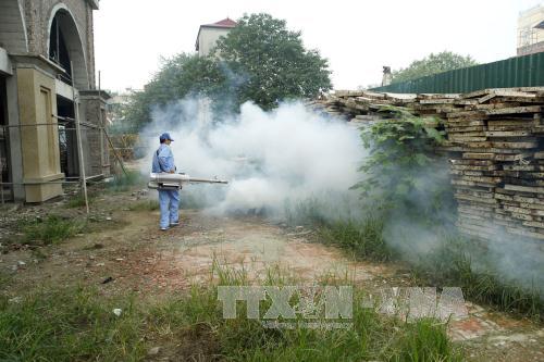 Tăng cường vai trò của Mặt trận Tổ quốc trong phòng, chống sốt xuất huyết 